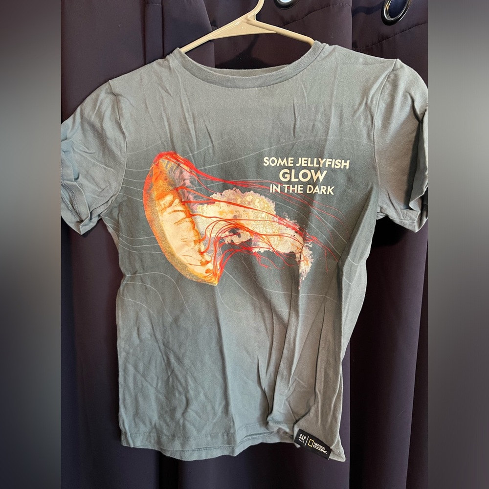 Gap Nat Geo tee